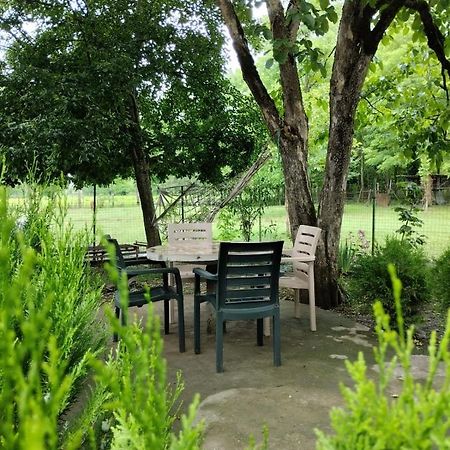 Martvili Guesthouse Zewnętrze zdjęcie
