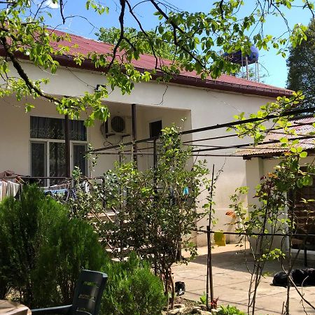 Martvili Guesthouse Zewnętrze zdjęcie