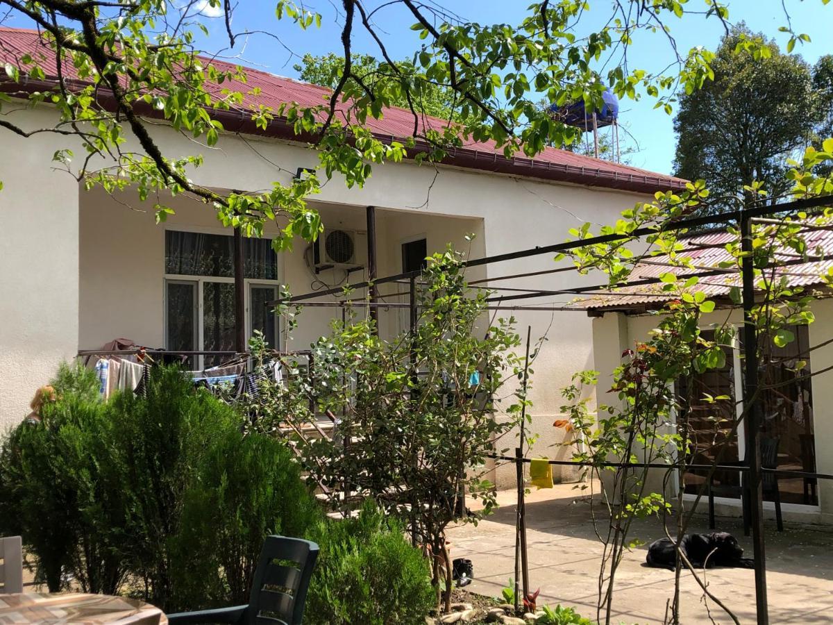 Martvili Guesthouse Zewnętrze zdjęcie